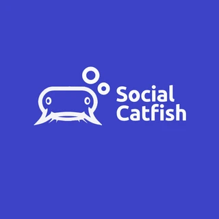 socialcatfish.com