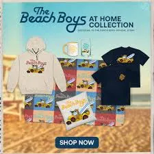 thebeachboys.com