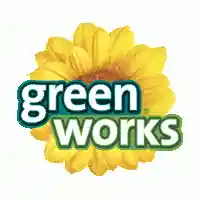 greenworkscleaners.com